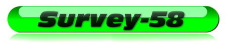 Logo: Survey-58