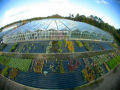 Fisheye - Greenhouse